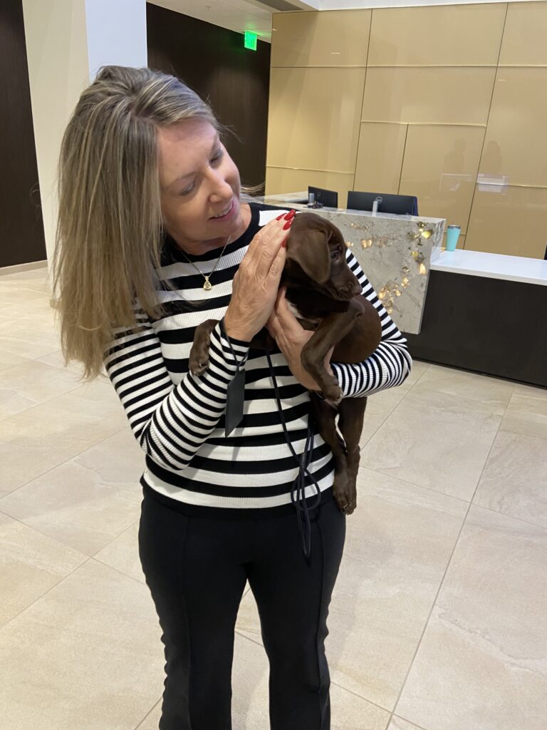 Pet Adoption and Awareness 2023