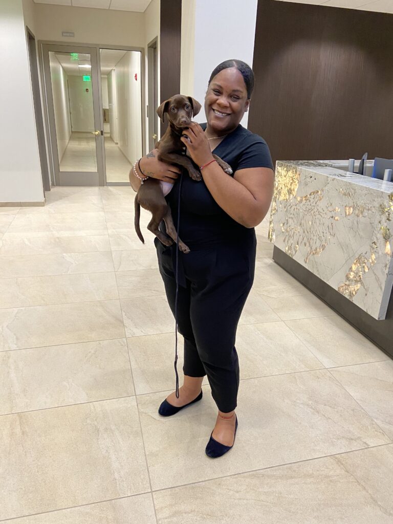 Pet Adoption and Awareness 2023