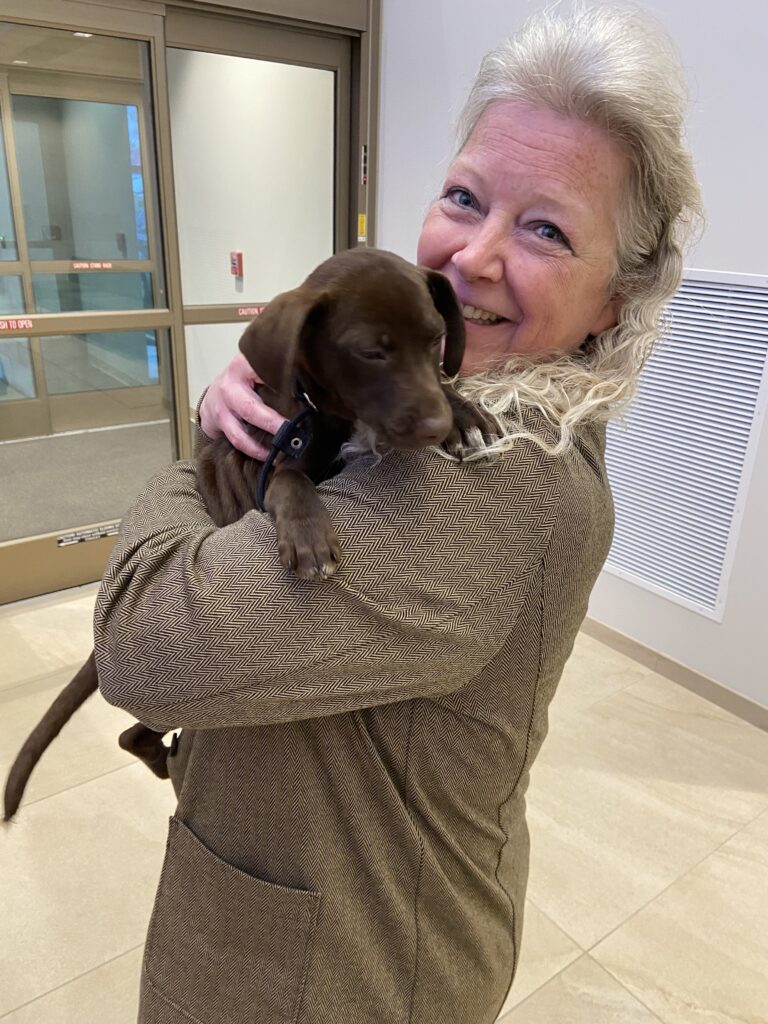 Pet Adoption and Awareness 2023