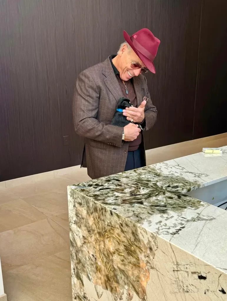 Pet Adoption and Awareness 3