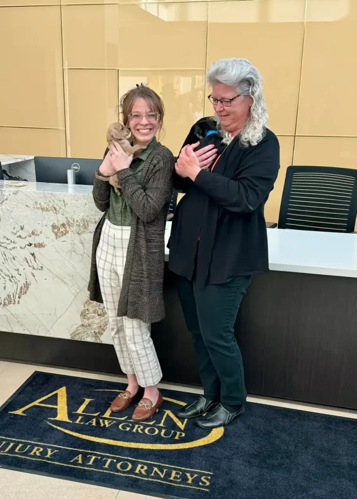 Pet Adoption and Awareness 4