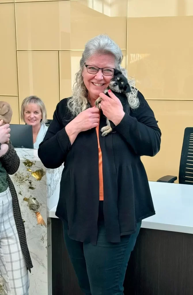 Pet Adoption and Awareness 6